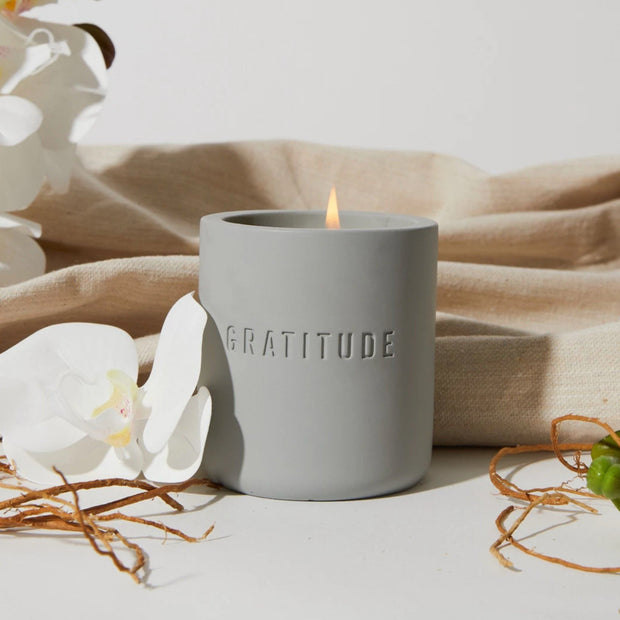 Celebration Candle Collection New Collection (Not Visible) Thistle Farms Gratitude: Vanilla + Vetiver 